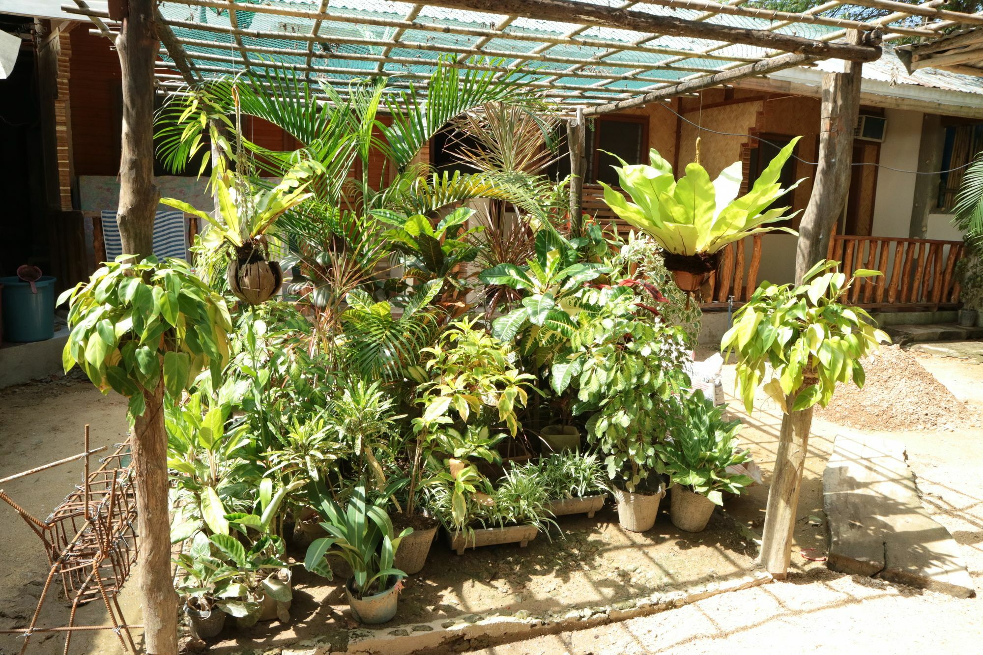 Sannie Pension El Nido Extérieur photo